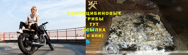 дурь Каменногорск