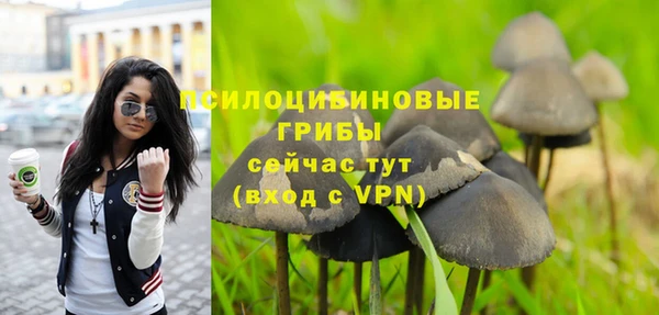 первитин Кинешма
