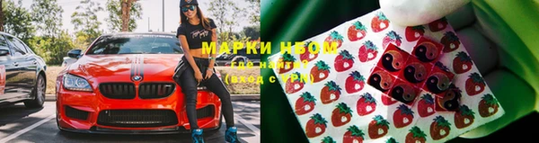 шишки Костерёво