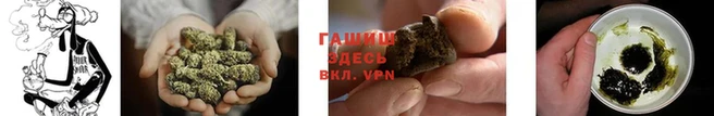 шишки Костерёво