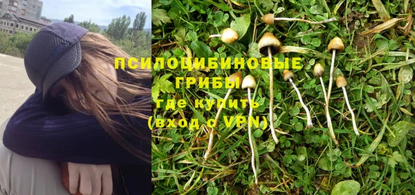 скорость Козловка